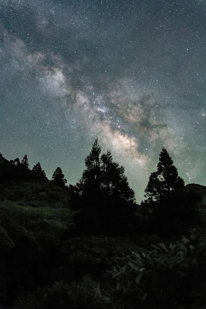 Starry Lights